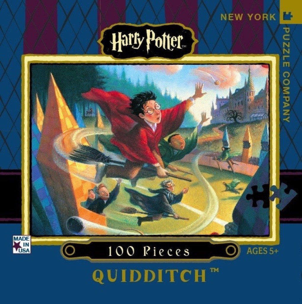 Harry Potter - Quidditch 100pc Mini Puzzle
