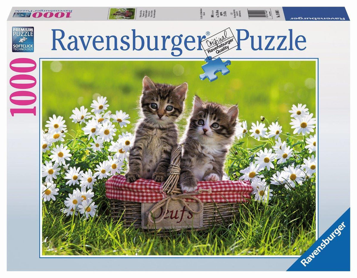 Picnic In The Meadow Puzzle 1000pc (Ravensburger Puzzle)