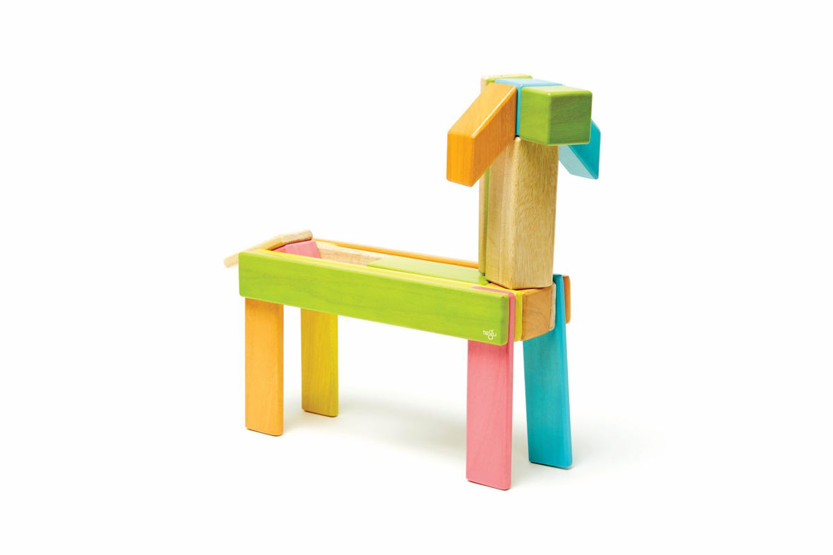 Tegu Magnetic Wooden Blocks - Classics 24 Pieces