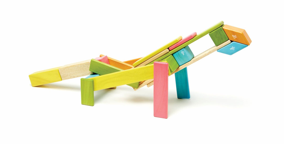 Tegu Magnetic Wooden Blocks - Classics 24 Pieces