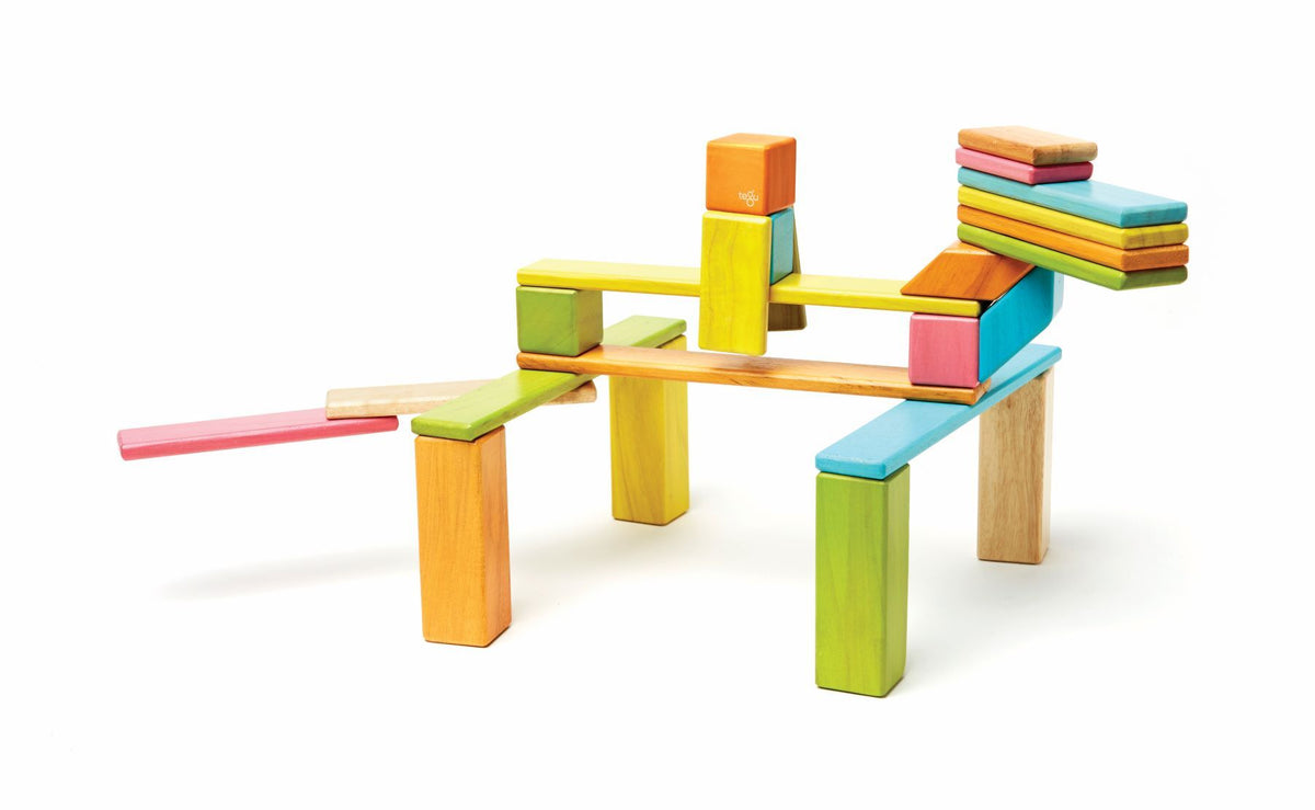 Tegu Magnetic Wooden Blocks - Classics 24 Pieces