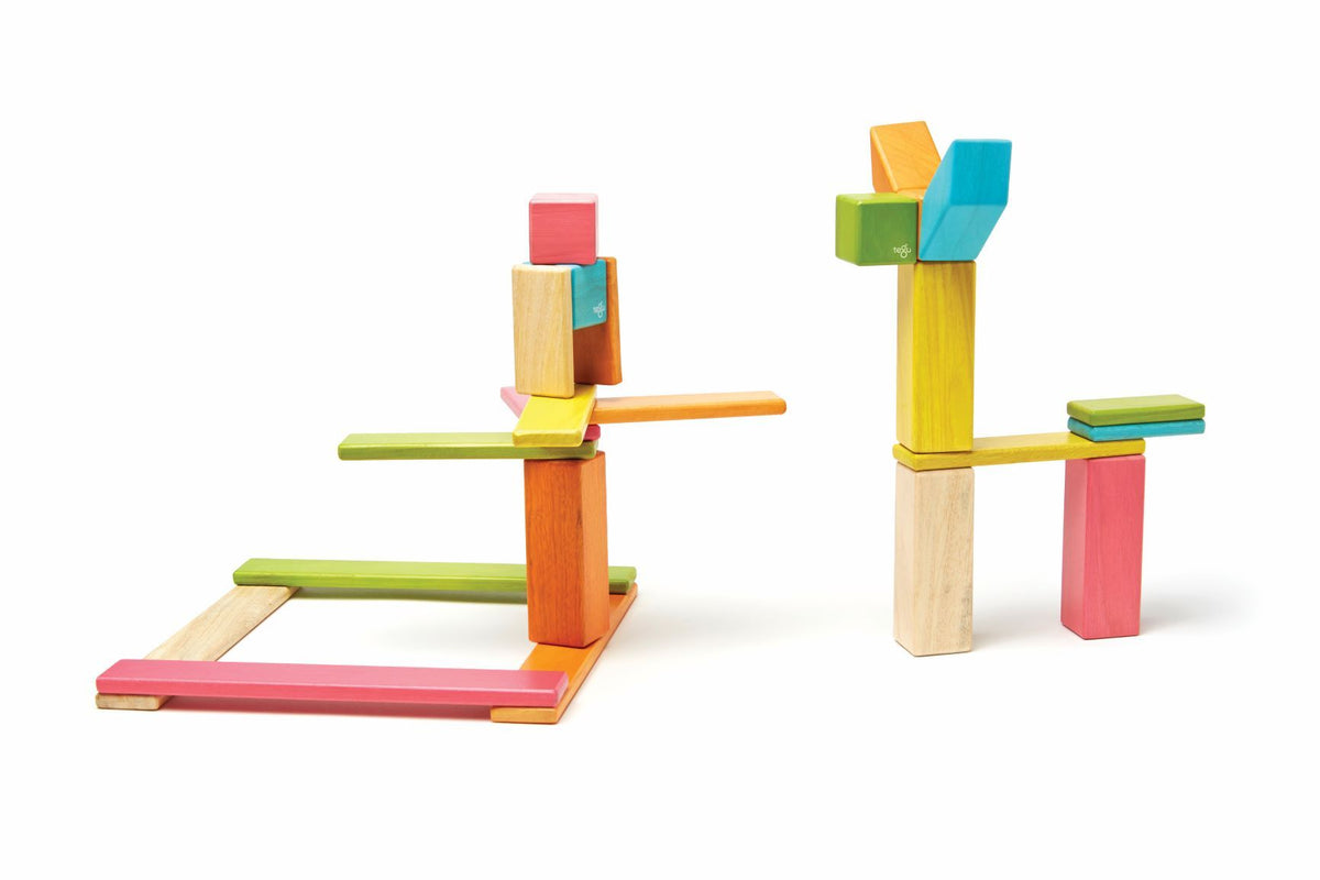 Tegu Magnetic Wooden Blocks - Classics 24 Pieces