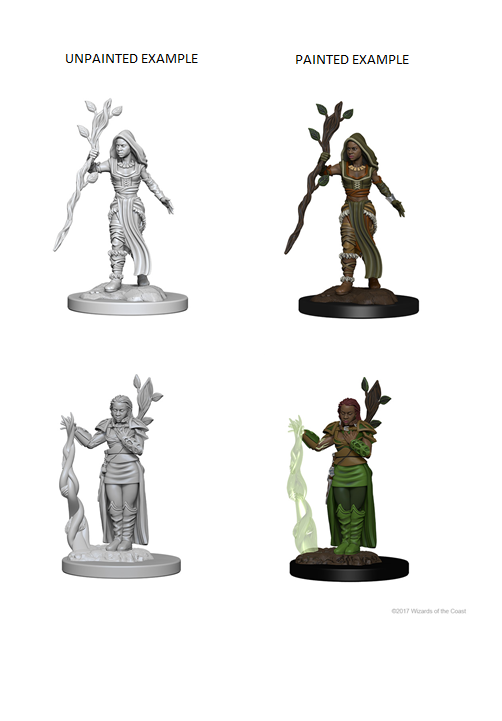 D&amp;D - Human Female Druid (Nolzurs Marvelous Unpainted Miniatures)