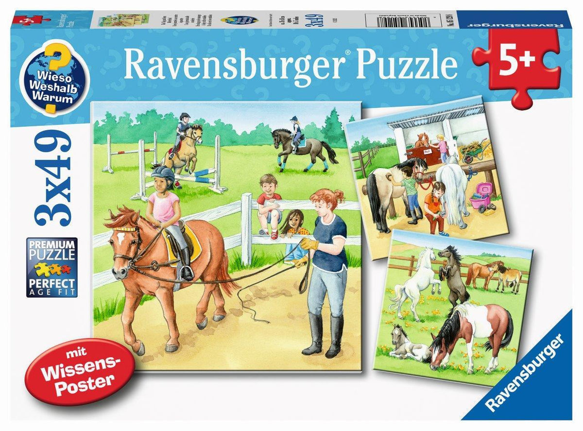 A Day at the Stables Puzzle 3x49pc (Ravensburger Puzzle)