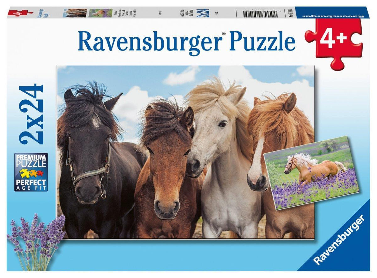 Horse Friends Puzzle 2x24pc (Ravensburger Puzzle)