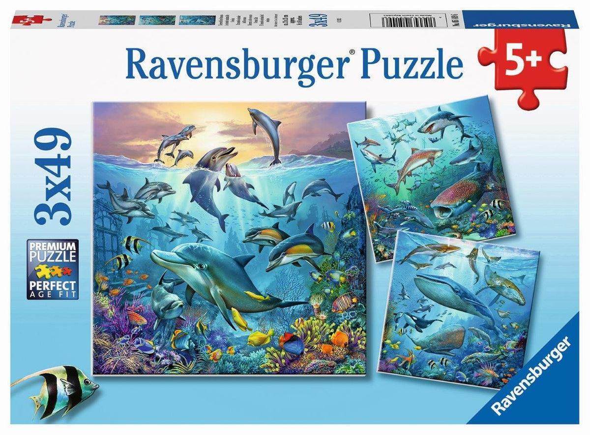 Ocean Life Puzzle 3x49pc (Ravensburger Puzzle)