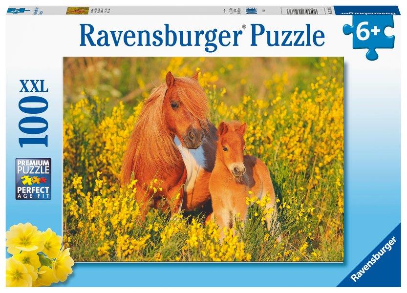 Shetland Ponys 100pc (Ravensburger Puzzle)
