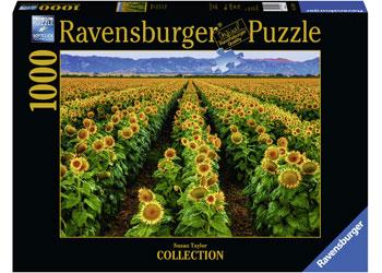 Fields Of Gold Puzzle 1000pc (Ravensburger Puzzle)