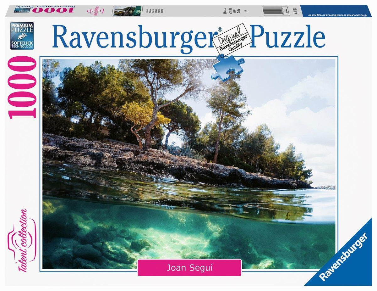 Points of View 1000pc (Ravensburger Puzzle)