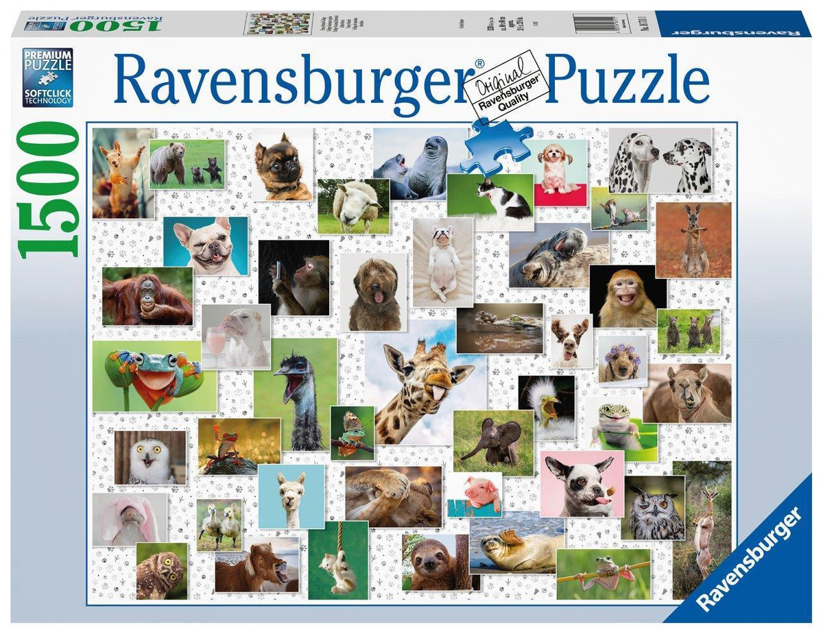 Funny Animals Puzzle 1500pc (Ravensburger Puzzle)