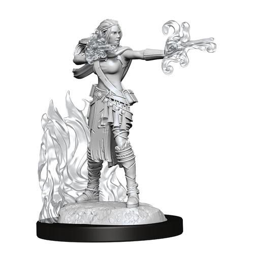 D&amp;D - Female Multiclass Warlock &amp; Sorcerer (Nolzurs Marvelous Unpainted Miniatures)