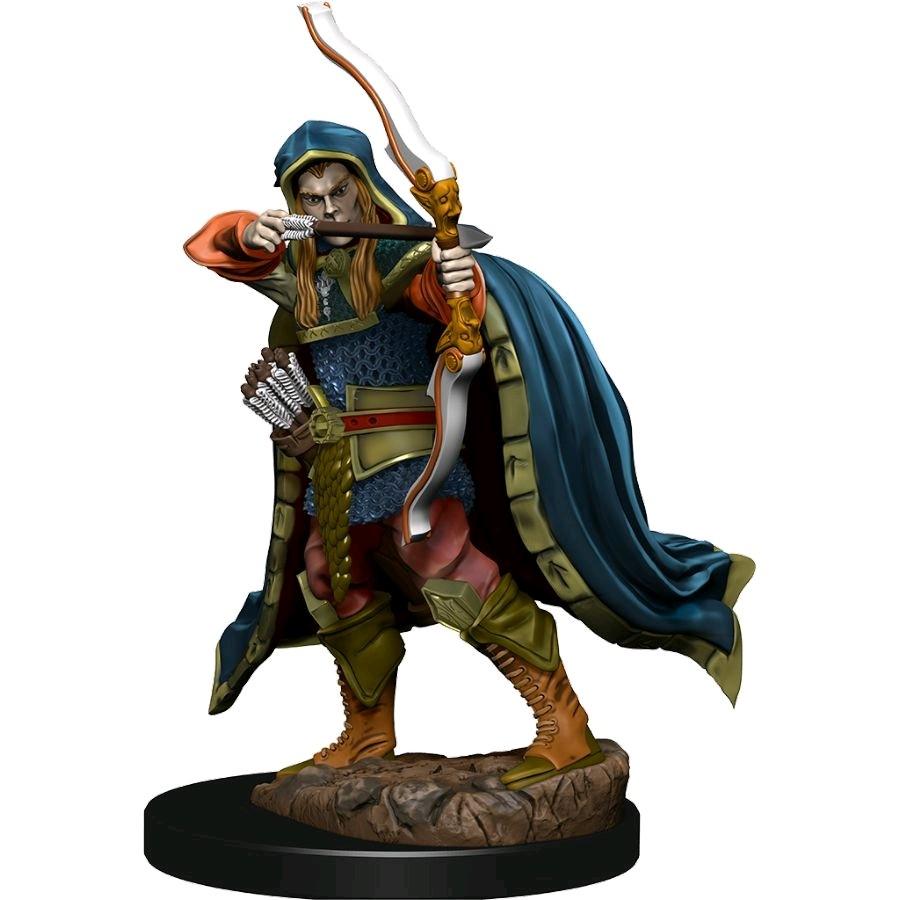 D&amp;D - Elf Rogue Male (Premium Painted Figures)